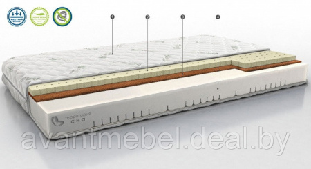 Беспружинный матрас (70 см.) Concept 07
