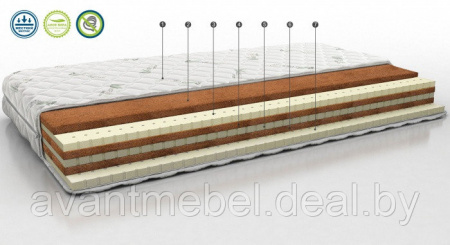 Беспружинный матрас (160см.) Concept 05