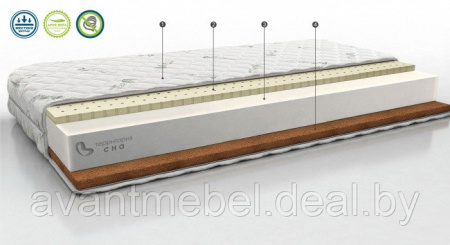 Беспружинный матрас (140см.)  Concept 08